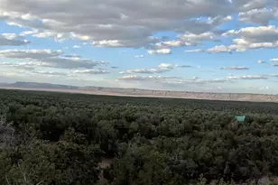 33867 W Whiskey River Rd, Seligman, AZ 86337 - Photo 25