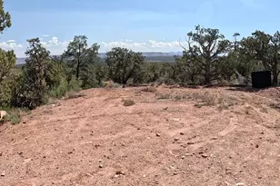 33867 W Whiskey River Rd, Seligman, AZ 86337 - Photo 35