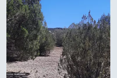 010D W Our Street, Seligman, AZ 86337 - Photo 3