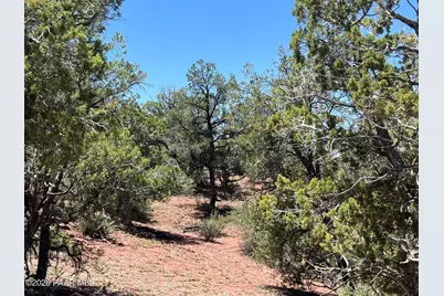 201 Cathedral Valley Road, Ash Fork, AZ 86320 - Photo 9