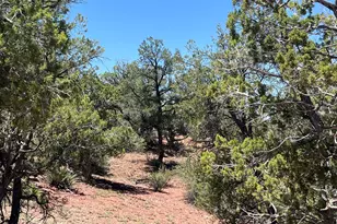 201 Cathedral Valley Rd, Ash Fork, AZ 86320 - Photo 1