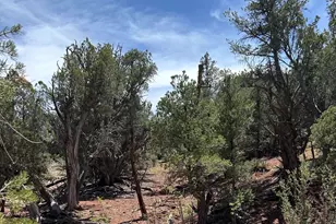 179 Arizona Rd, Ash Fork, AZ 86320 - Photo 1