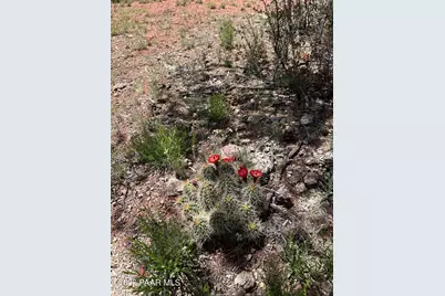 179 Arizona Rd, Ash Fork, AZ 86320 - Photo 5
