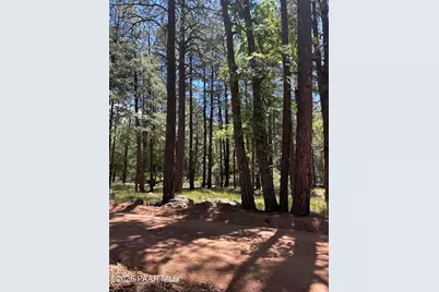 374 N Majestic Elk Lane, Payson, AZ 85541 - Photo 21
