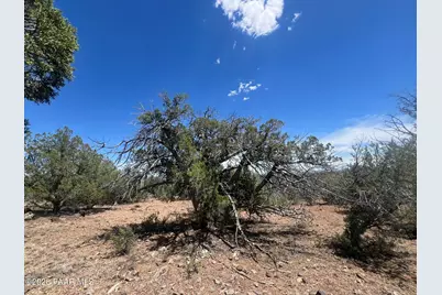 186 Gleed Station Road, Ash Fork, AZ 86320 - Photo 3