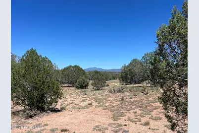 202 Cooks Trail, Ash Fork, AZ 86320 - Photo 3