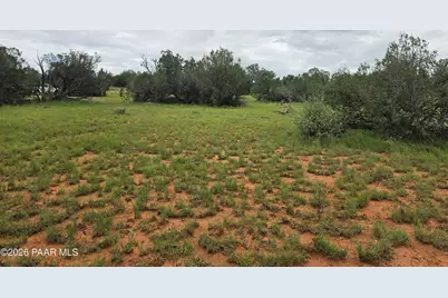 Lot #33D Stewart Road, Seligman, AZ 86337 - Photo 13