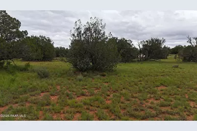 Lot #33D Stewart Road, Seligman, AZ 86337 - Photo 59