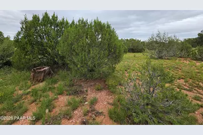Lot #33D Stewart Road, Seligman, AZ 86337 - Photo 27