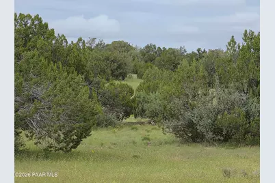 Lot #33D Stewart Road, Seligman, AZ 86337 - Photo 11