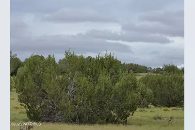 Lot #33D Stewart Road, Seligman, AZ 86337 - Photo 9