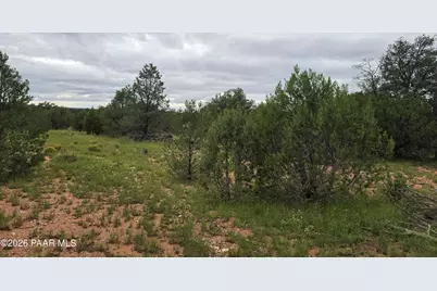 Lot #33D Stewart Road, Seligman, AZ 86337 - Photo 31