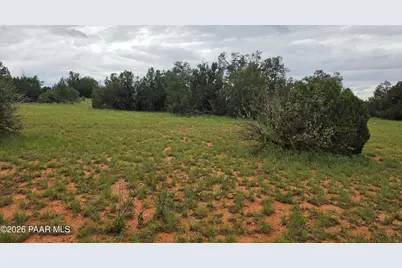 Lot #33D Stewart Road, Seligman, AZ 86337 - Photo 15