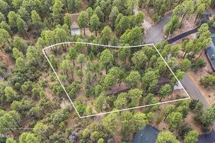1111 E Pine Hills Dr, Prescott, AZ 86303 - Photo 41