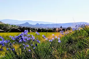 1975 S Blooming Hills Dr, Prescott, AZ 86301 - Photo 39
