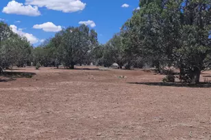 44050 W Fort Rock Rd, Seligman, AZ 86337 - Photo 41