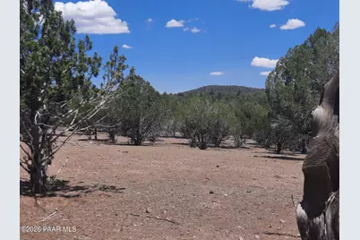 44050 W Fort Rock Road, Seligman, AZ 86337 - Photo 43