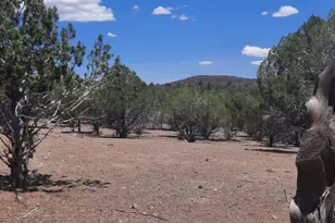 44050 W Fort Rock Rd, Seligman, AZ 86337 - Photo 43
