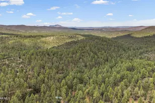 6151 E Bannie Mine Rd, Prescott, AZ 86303 - Photo 37