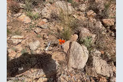 254-24-002 Mica, Kingman, AZ 86401 - Photo 17