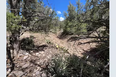 109 Off Of Twin Fawn Lane, Ash Fork, AZ 86320 - Photo 7