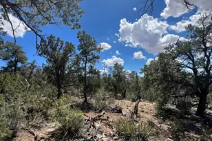 109 Off Of Twin Fawn Ln, Ash Fork, AZ 86320 - Photo 1