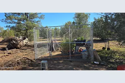 35636 Elk Lane, Seligman, AZ 86337 - Photo 23