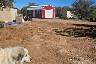 35636 Elk Ln, Seligman, AZ 86337 - Photo 13
