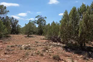 57602 N Hermana Ln, Seligman, AZ 86337 - Photo 41
