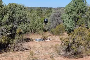 57602 N Hermana Ln, Seligman, AZ 86337 - Photo 9