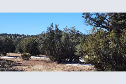 57602 N Hermana Lane, Seligman, AZ 86337 - Photo 11
