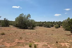 57602 N Hermana Ln, Seligman, AZ 86337 - Photo 43