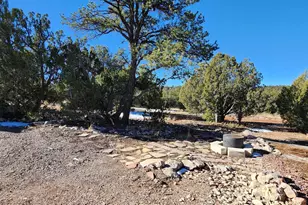57602 N Hermana Ln, Seligman, AZ 86337 - Photo 21