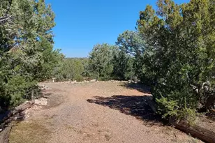 57602 N Hermana Ln, Seligman, AZ 86337 - Photo 39