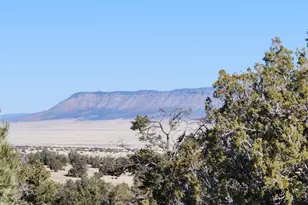 57602 N Hermana Ln, Seligman, AZ 86337 - Photo 31