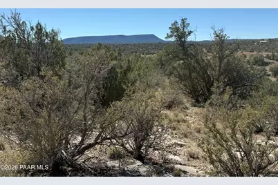 33367 W Hora Circle, Seligman, AZ 86337 - Photo 3