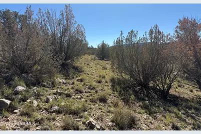33367 W Hora Circle, Seligman, AZ 86337 - Photo 21