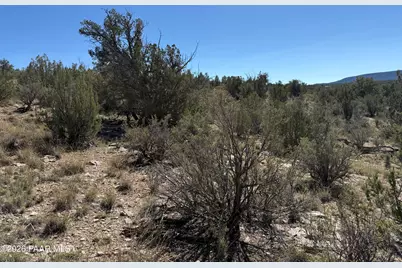 33367 W Hora Circle, Seligman, AZ 86337 - Photo 5