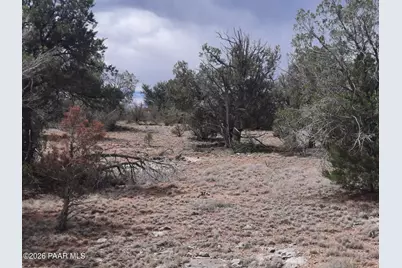 32399 W Avenida Bailar, Seligman, AZ 86337 - Photo 3