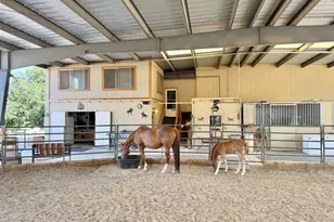 11600 N Cowboy Trail, Prescott, AZ 86305 - Photo 15