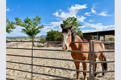 11600 N Cowboy Trail, Prescott, AZ 86305 - Photo 19
