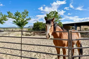 11600 N Cowboy Trail, Prescott, AZ 86305 - Photo 19