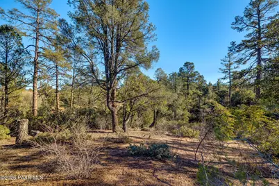 203 S Rim Club Drive, Payson, AZ 85541 - Photo 11