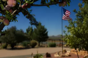 14475 E Territory Dr, Prescott Valley, AZ 86315 - Photo 35