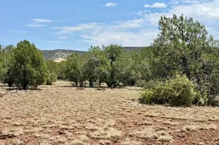 223 W Pat Dr, Williams, AZ 86046 - Photo 1