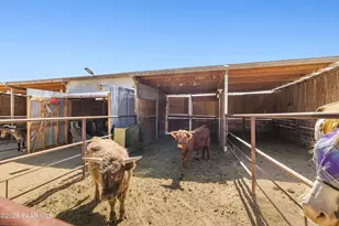 2770 N Mountain Meadow Rd, Chino Valley, AZ 86323 - Photo 29