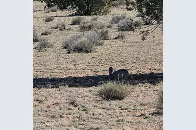 Lot 8B Tanner Rd, Ash Fork, AZ 86320 - Photo 9