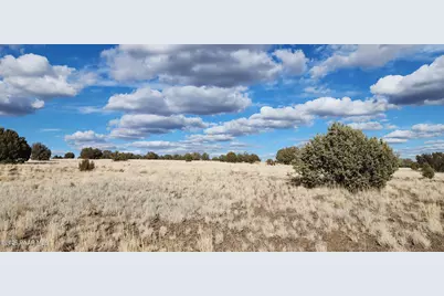 Lot 55A True Grit, Ash Fork, AZ 86320 - Photo 5