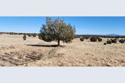 Lot 55A True Grit, Ash Fork, AZ 86320 - Photo 3