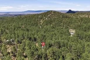 5957 W Dearing Rd, Prescott, AZ 86305 - Photo 41
